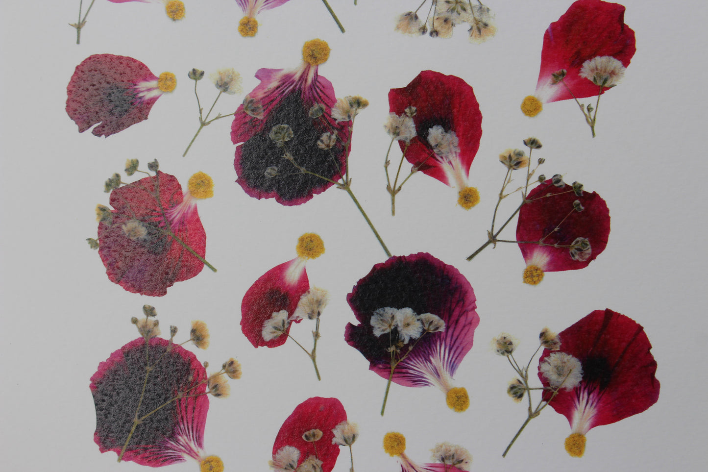 x. Fleurs pressées - Affiche Légèreté
