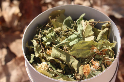 Tisane - Assemblage n°1 : Morphée