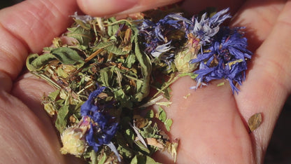 Tisane - Assemblage n°2 : Eveillée