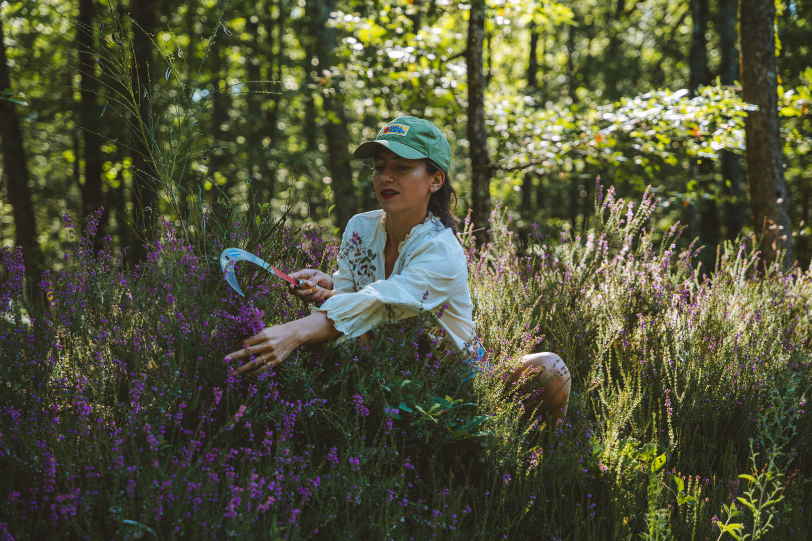 Manon en pleine cueillette, au milieu de la bruyère en fleurs